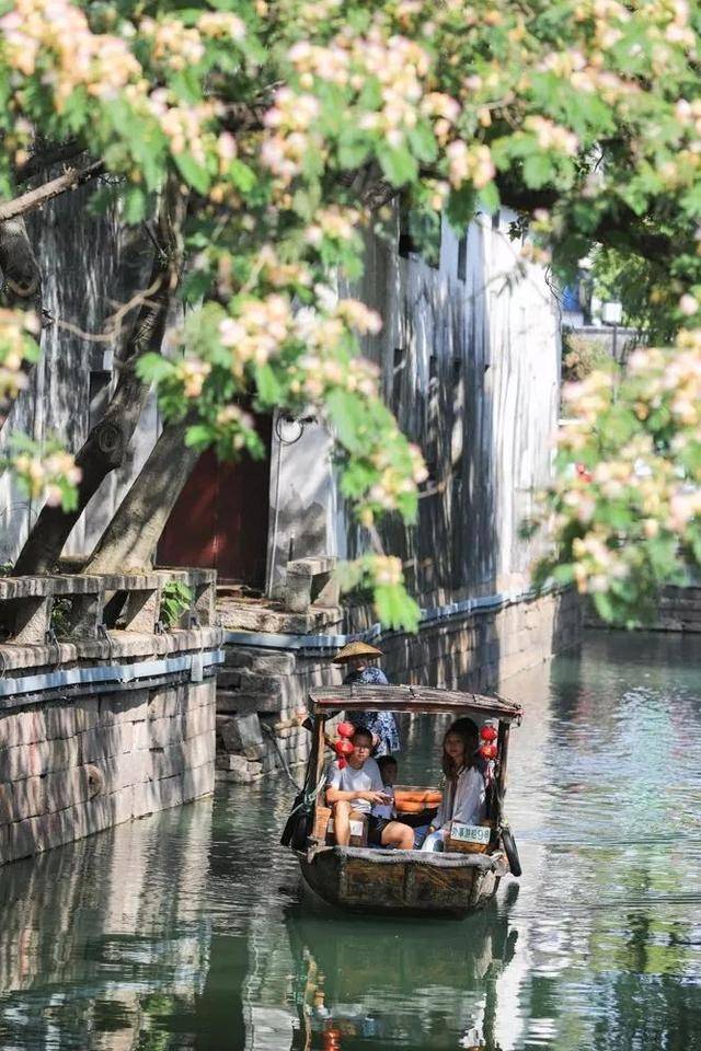 苏州水上行旅:江南才有的浪漫