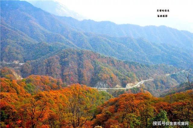 颜值逆天,金寨马鬃岭之秋!