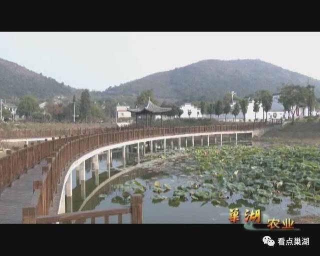 巢湖新闻巢湖市槐林镇大汪村渔网第一村编织如画风景