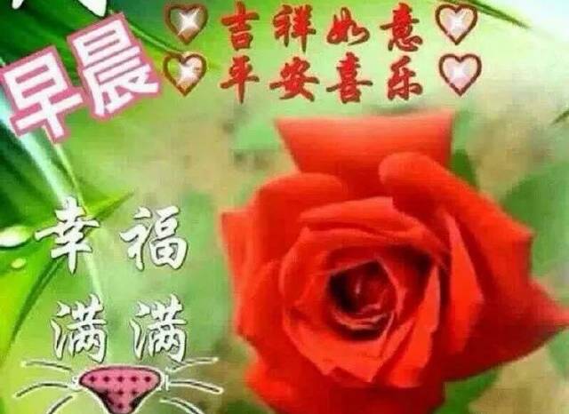 周六清晨问候大家早上好祝福语图片带字,清晨早上好祝福表情图片