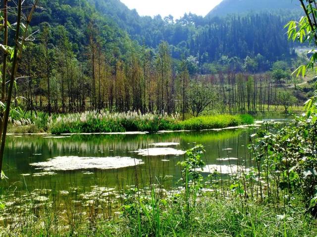 贵州贵阳花溪十里河滩旅游攻略,这样的美景你值得拥有!