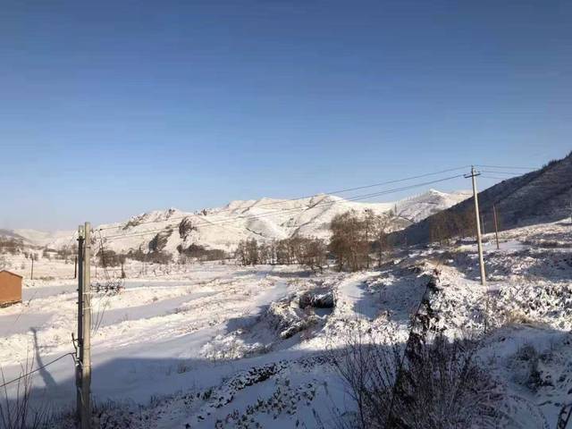 【围观】张家口坝上下雪了!这么大,这么美.