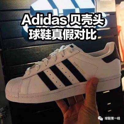 adidas贝壳头真假对比 adidas板鞋男女三叶草superstar金标贝壳头c77