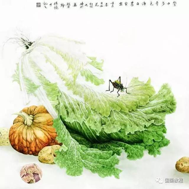 工笔画白菜 美不胜收