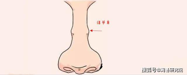 所谓起节鼻指的是鼻梁骨的中间年寿骨部位高凸,向左右横张,看上去