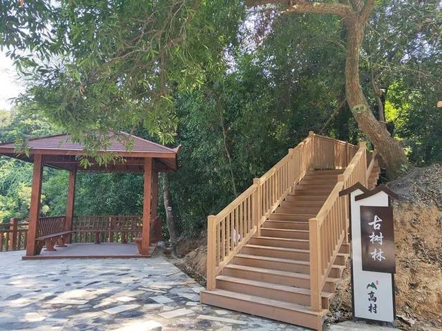 观景平台