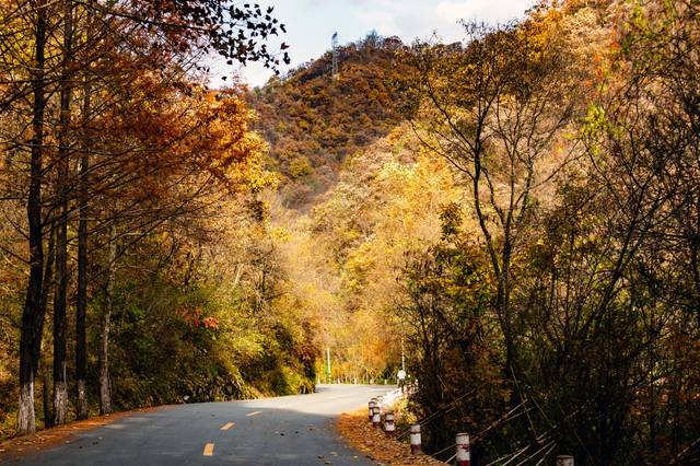 大秦岭,藏着一条最美乡村公路