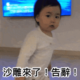 沙雕来了!告辞!