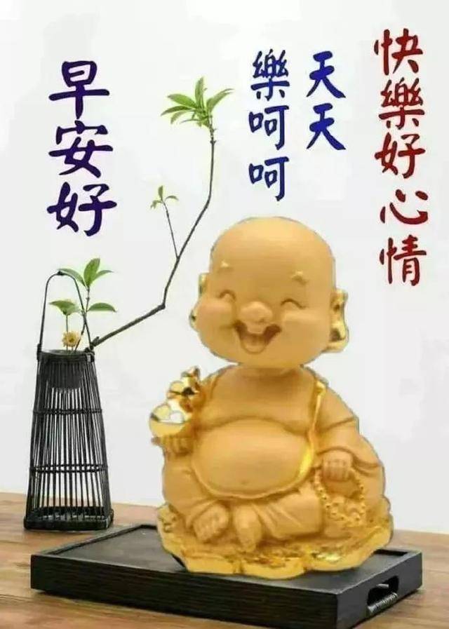 每一天早上醒来,你要做的第一件事就是开心!早上好