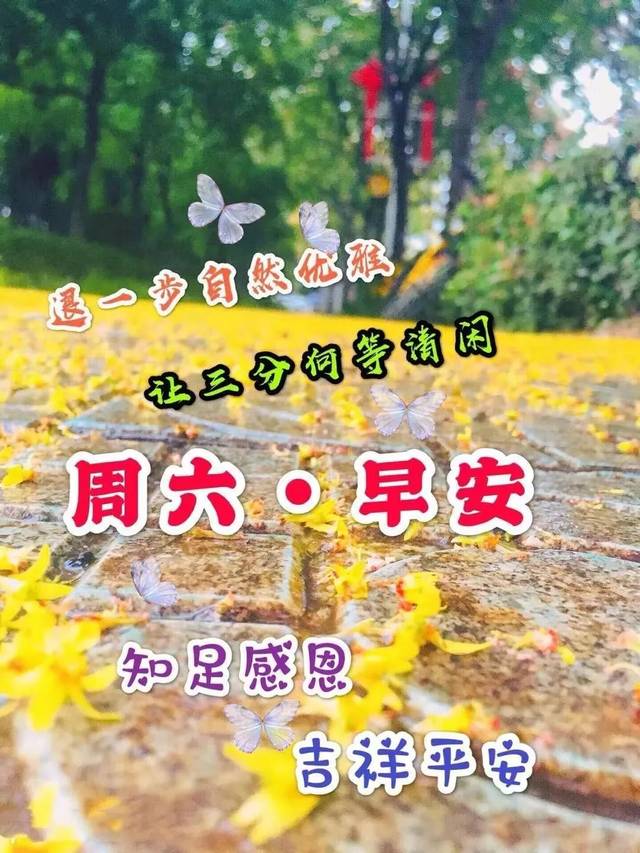 周二最新漂亮晚上好动态美图鲜花带字,早晨好幸福暖心