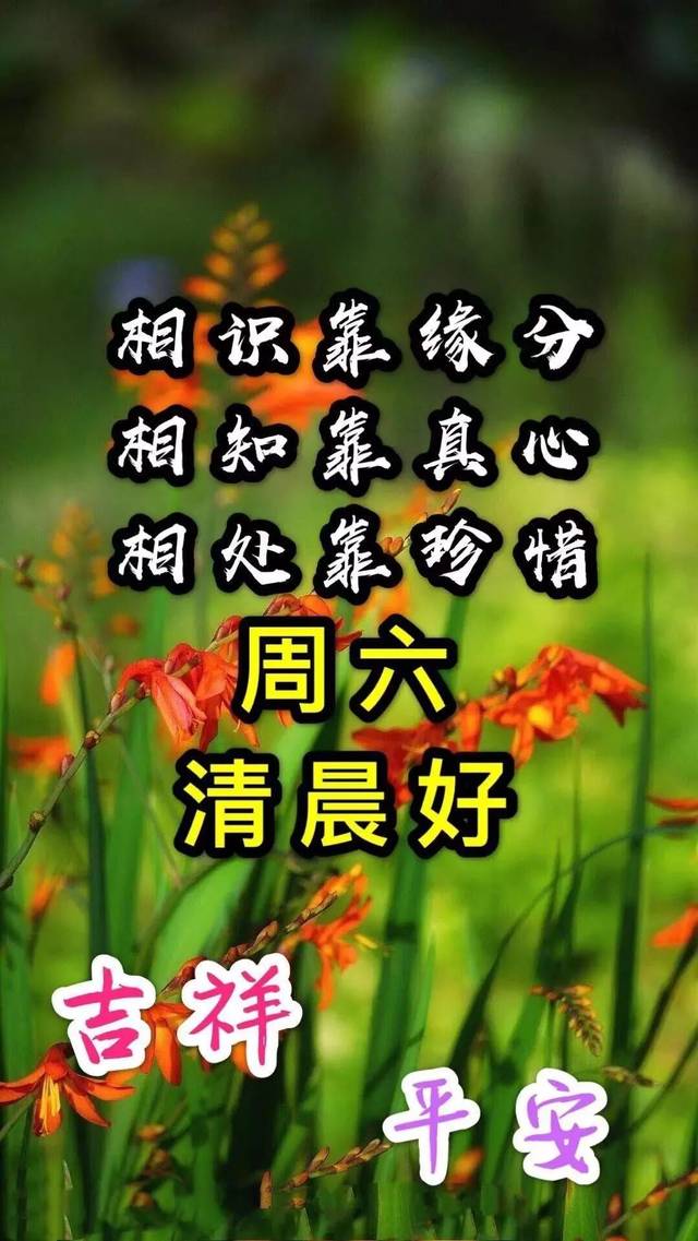 周二最新漂亮晚上好动态美图鲜花带字,早晨好幸福暖心