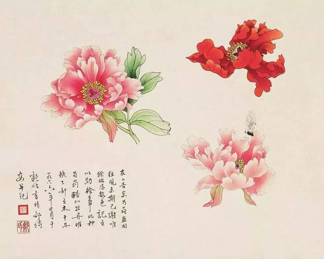 工笔名家邹传安画牡丹芍药,典雅细腻!