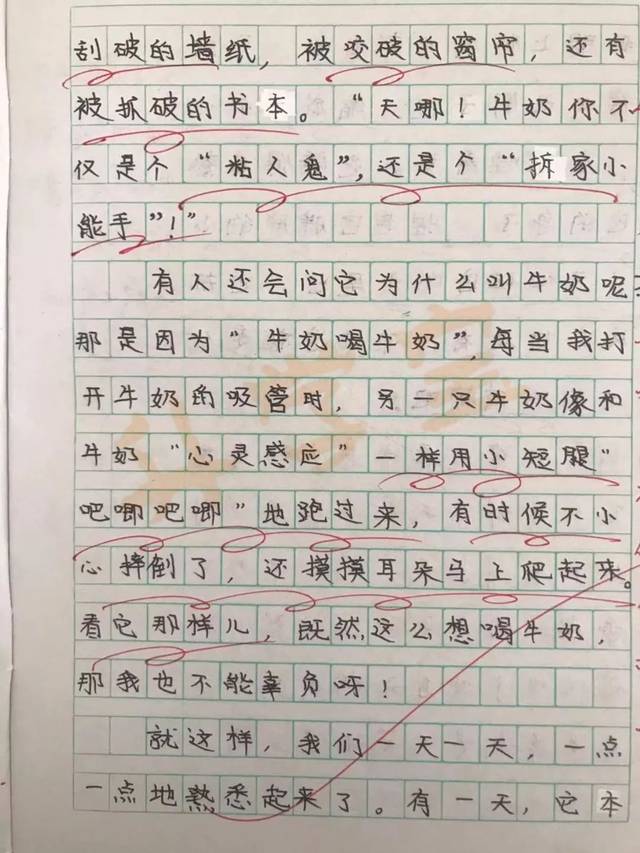 在浏览朱老师的评语时 还会发现一个"神奇"之处 她学生的每一本作文本