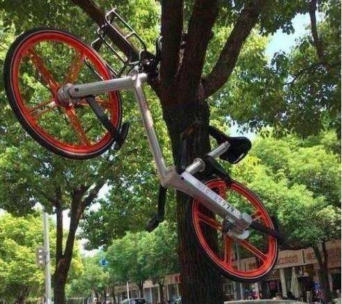 共享单车原来是“伪”共享经济?