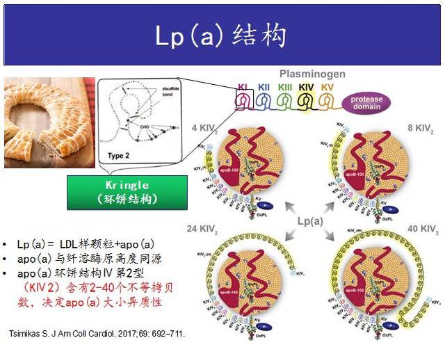 clinic文库 | ascvd防治应重视脂蛋白(a)的筛查和管理_手机搜狐网