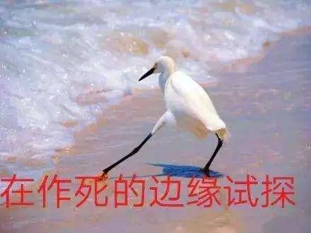 所以吧,大家都抛弃幻想,不要在作死的边缘试探.