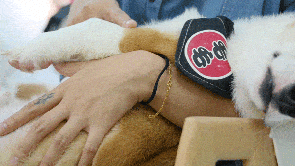 地铁1号线西门口站d口步行390m (西门口广场正对大门右边小巷进去)