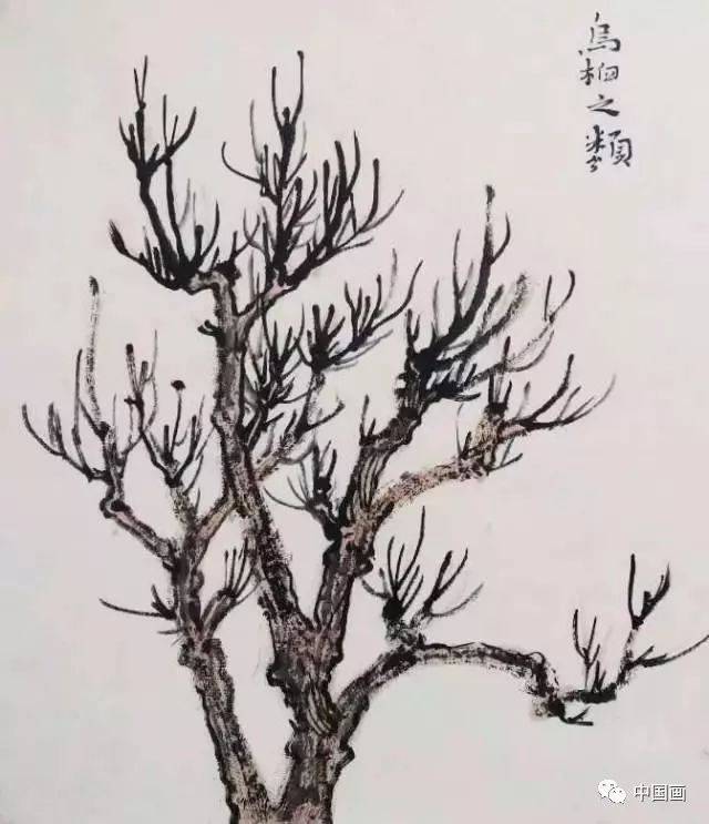 干货:中国画山水画技法入门——树木篇(二十条整合版)