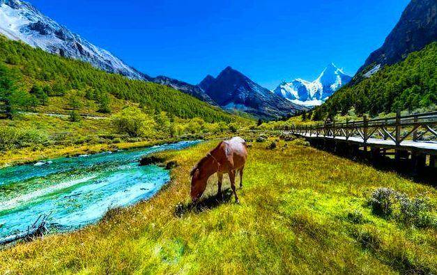 【最具魅力】—— 最值得去的旅游景点排行榜前十