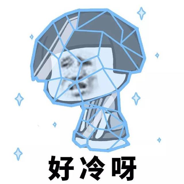好冷呀 好大的风啊