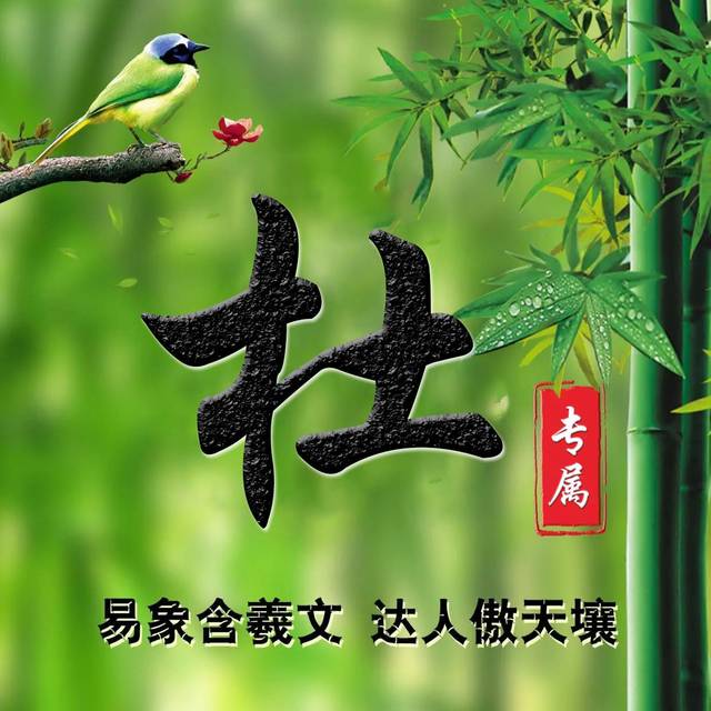你的微信头像该换了,鸟语花香,竹报平安姓氏头像,给你