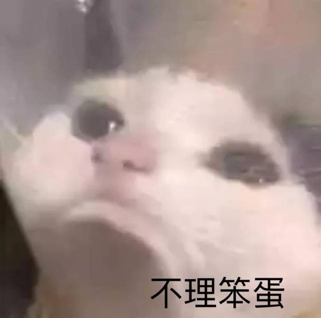 近期沙雕图