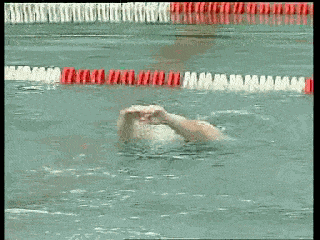 蝶泳详细讲解9种腿部联系,这样练会有很大进步