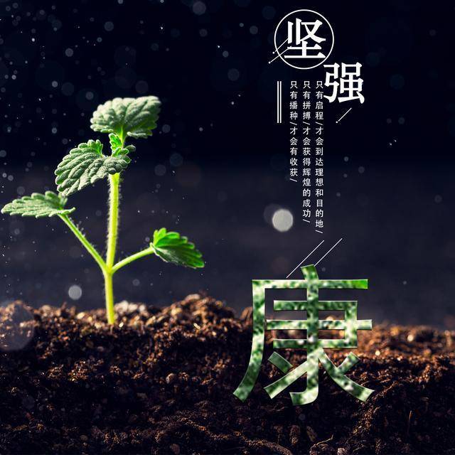 姓氏头像,只有拼搏,才会获得辉煌的成功;只有播种,才会有收获