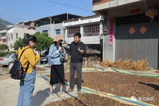 家园美油茶香豪猪豪解锁闽侯古洋乡村振兴三大密码