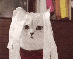 超多gif动态沙雕表情包,用了会上瘾!