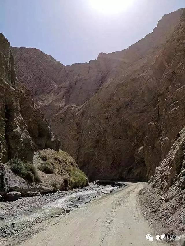 【援疆快讯】扶贫公路铺进普夏村 昆仑山里架起致富桥