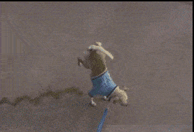 搞笑gif图:韩国舞团就是不一样的存在!_手机搜狐网