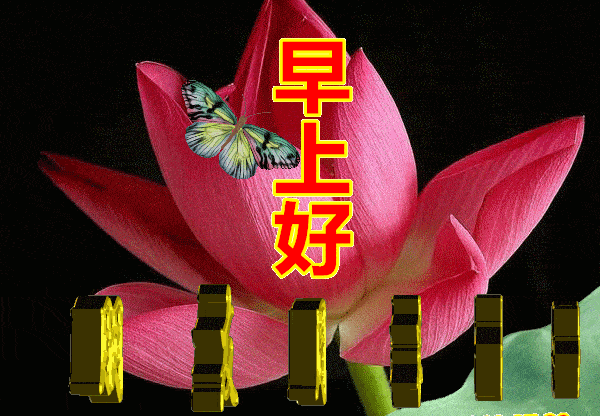 早上好图片图片