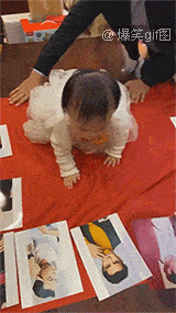 哈哈哈这狗子说不定是外地的,公关危机来了