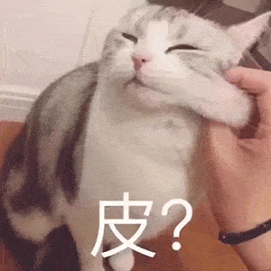 今日抖音表情包集合|别等了妹妹,我老公刚睡