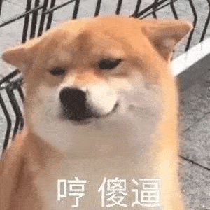 今日抖音表情包集合|别等了妹妹,我老公刚睡