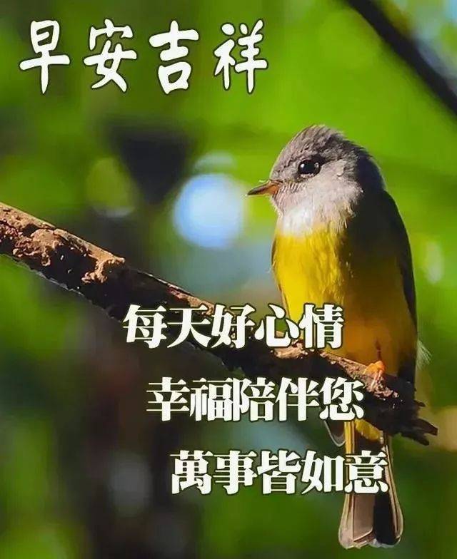 早上好,每天好心情,幸福陪伴你,万事皆如意,早安!