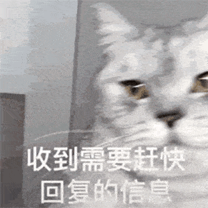 今日抖音表情包集合|别等了妹妹,我老公刚睡