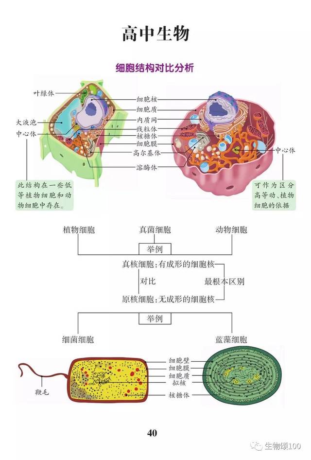 高中生物常考图例整合l收藏版