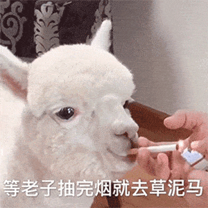 今日抖音表情包集合|别等了妹妹,我老公刚睡