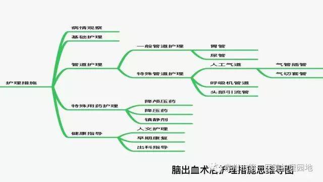 【ppt】思维导图,多学科联合护理教学查房