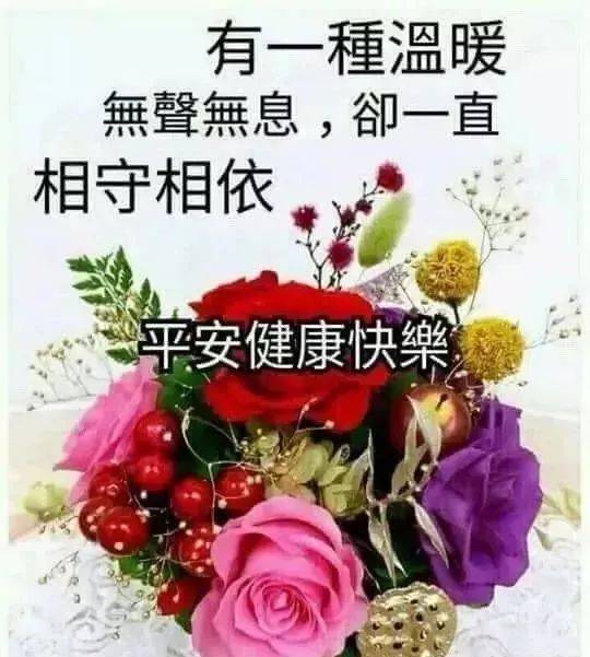 周二最新漂亮早上好动态美图鲜花带字,早晨好幸福暖心