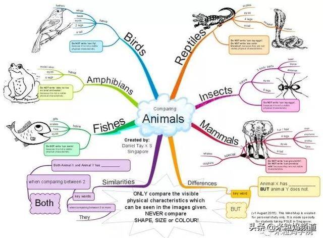 (用思维导图学习动物分类)