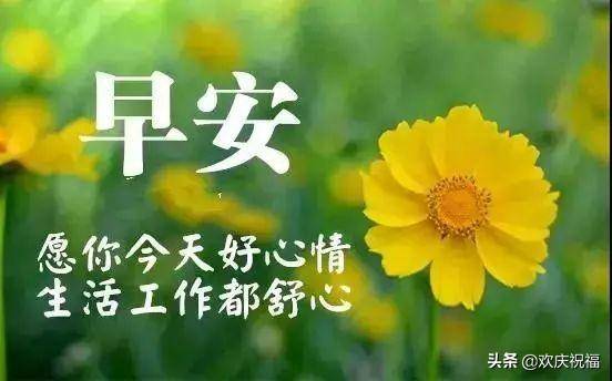 11月20日早上好祝福语动态图片表情,最美早安祝福动态