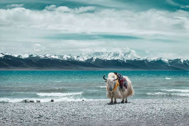 冬天适合去哪里旅游?10个国内最美旅行地,再不