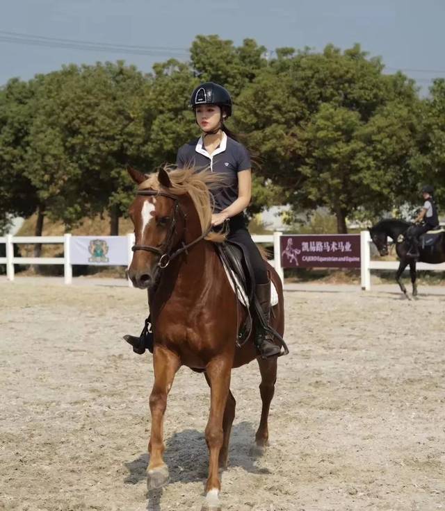 16岁阳山马术学府美女骑手王晟源:骑马7年,从"小胖子"