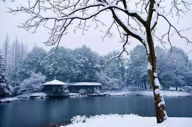 千山暮雪,银装素裹,黄山不动声色,已成了最美的绝色.