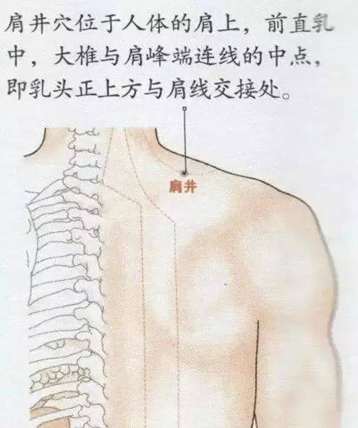 八髎穴就在腰臀部骨间空隙中.