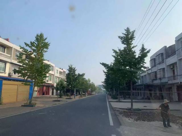 安陆市王义贞镇花园村
