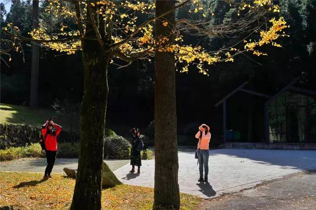 一路吟诗竞风流!奉化这条唐诗之路迎来最